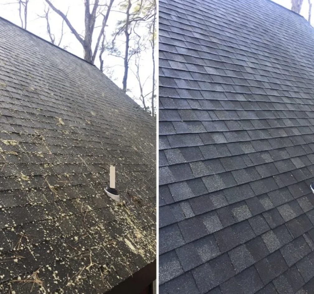 Roof Cleaning